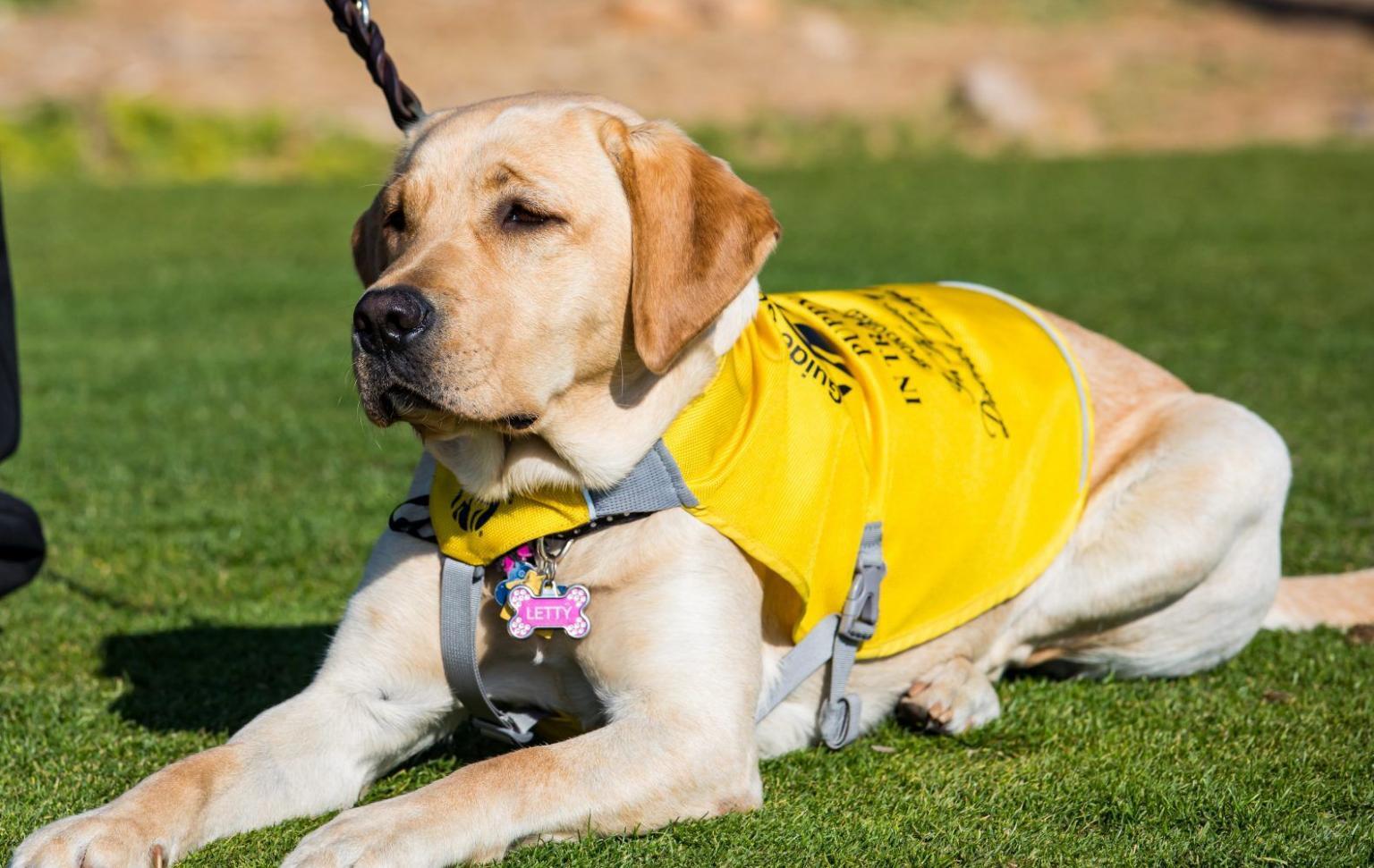 Guide Dogs of America - District 142